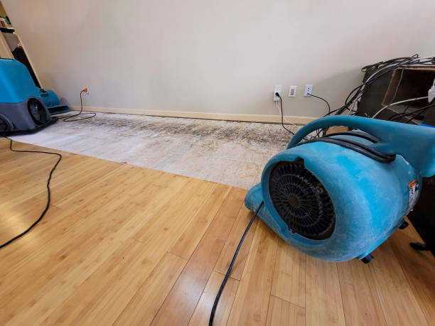 Professional Water Damage Repair technician working in Arlington Heights, PA